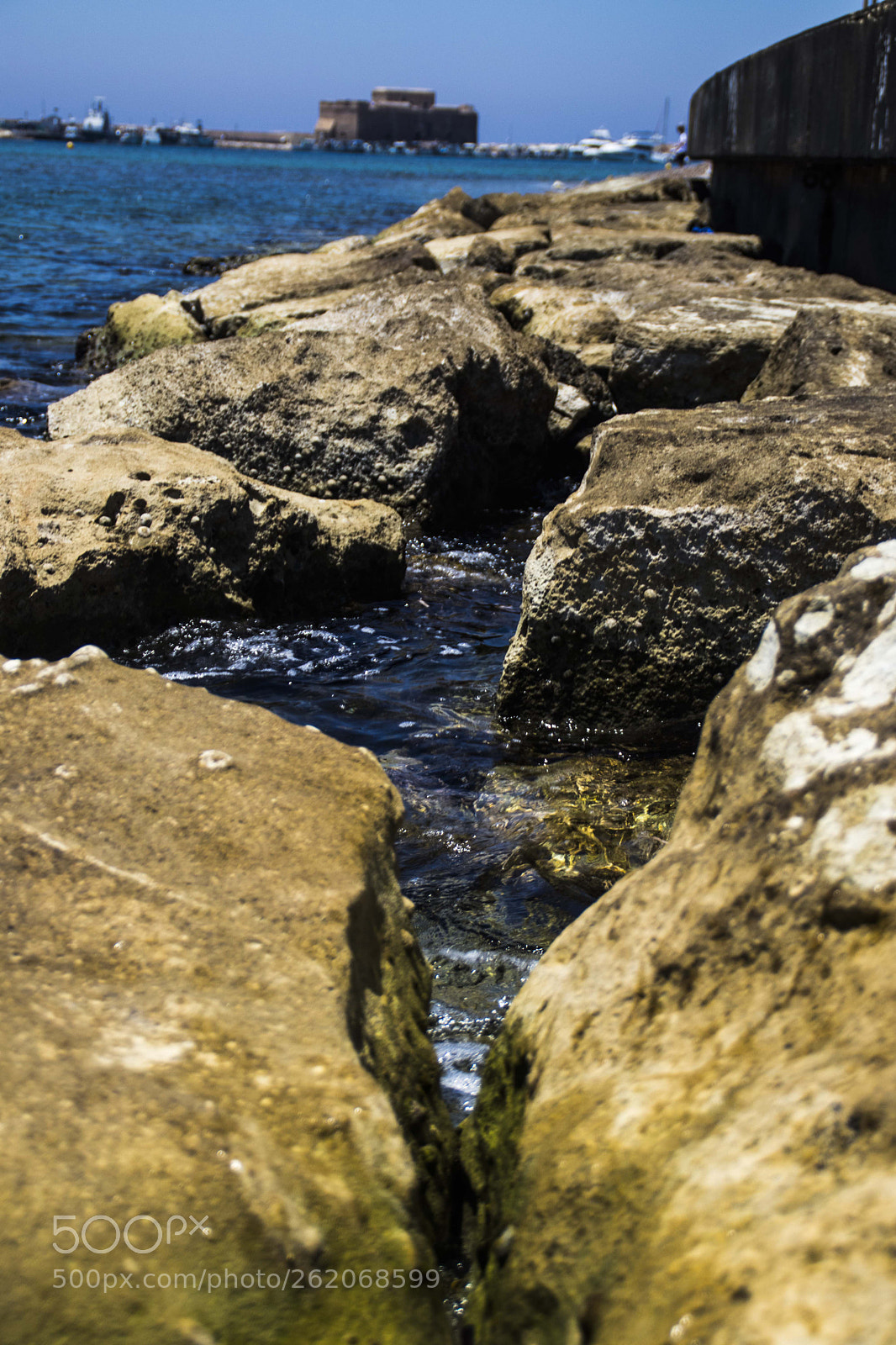 Canon EOS 800D (EOS Rebel T7i / EOS Kiss X9i) sample photo. (edit) photography