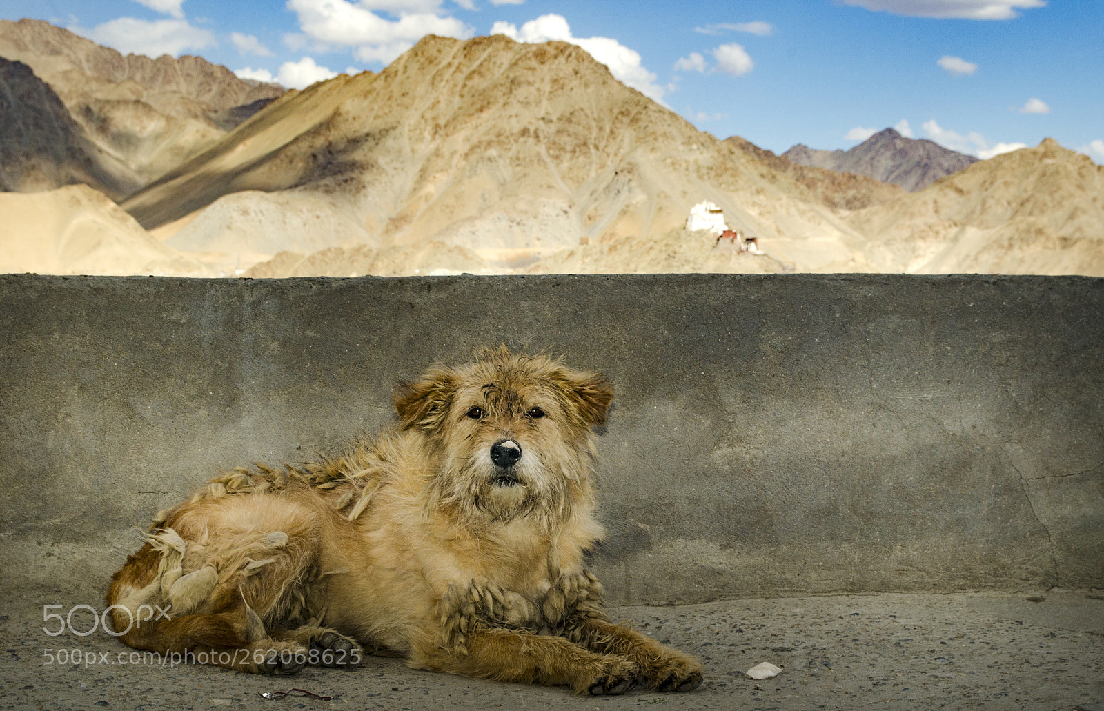 Nikon D5100 sample photo. Face of the mountains photography
