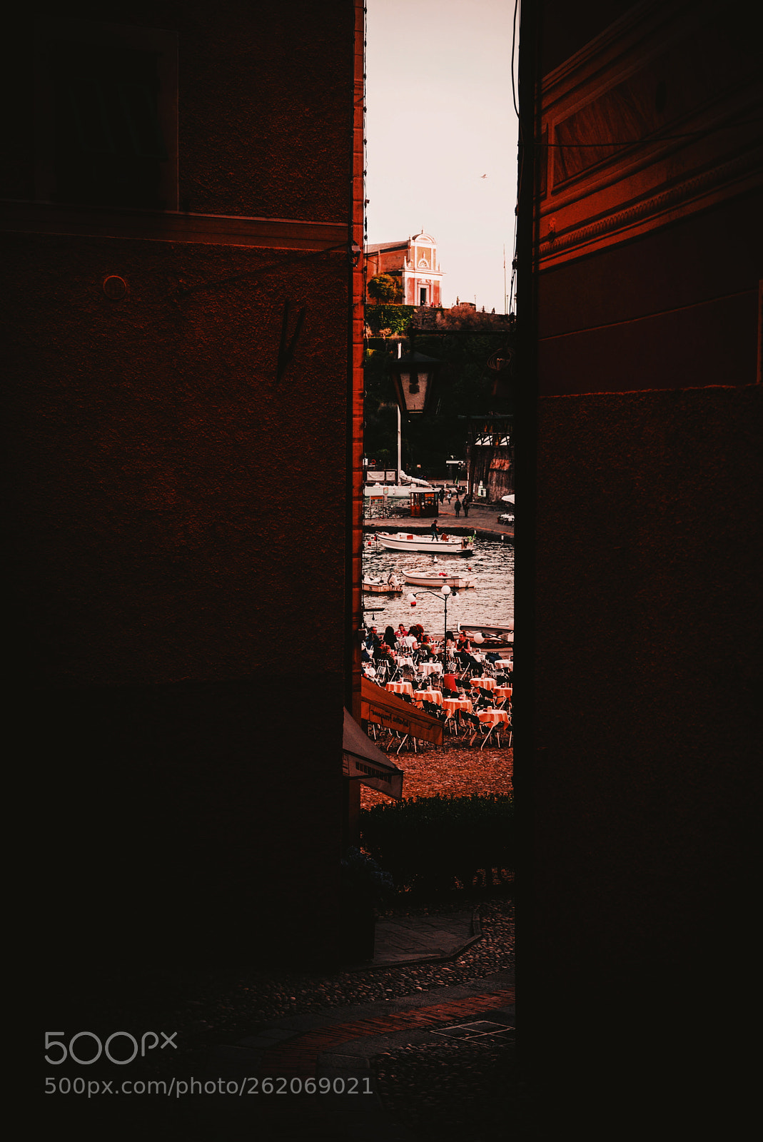 Nikon D610 sample photo. Untitled photography