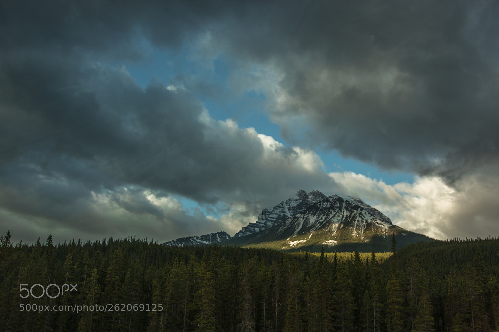 Canon EOS 5D Mark IV sample photo. A cloudy morning in photography
