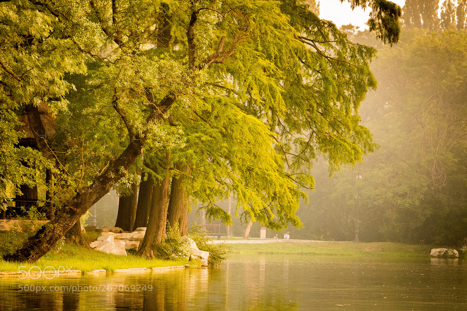 Nikon D7500 sample photo. Sunset in the park photography