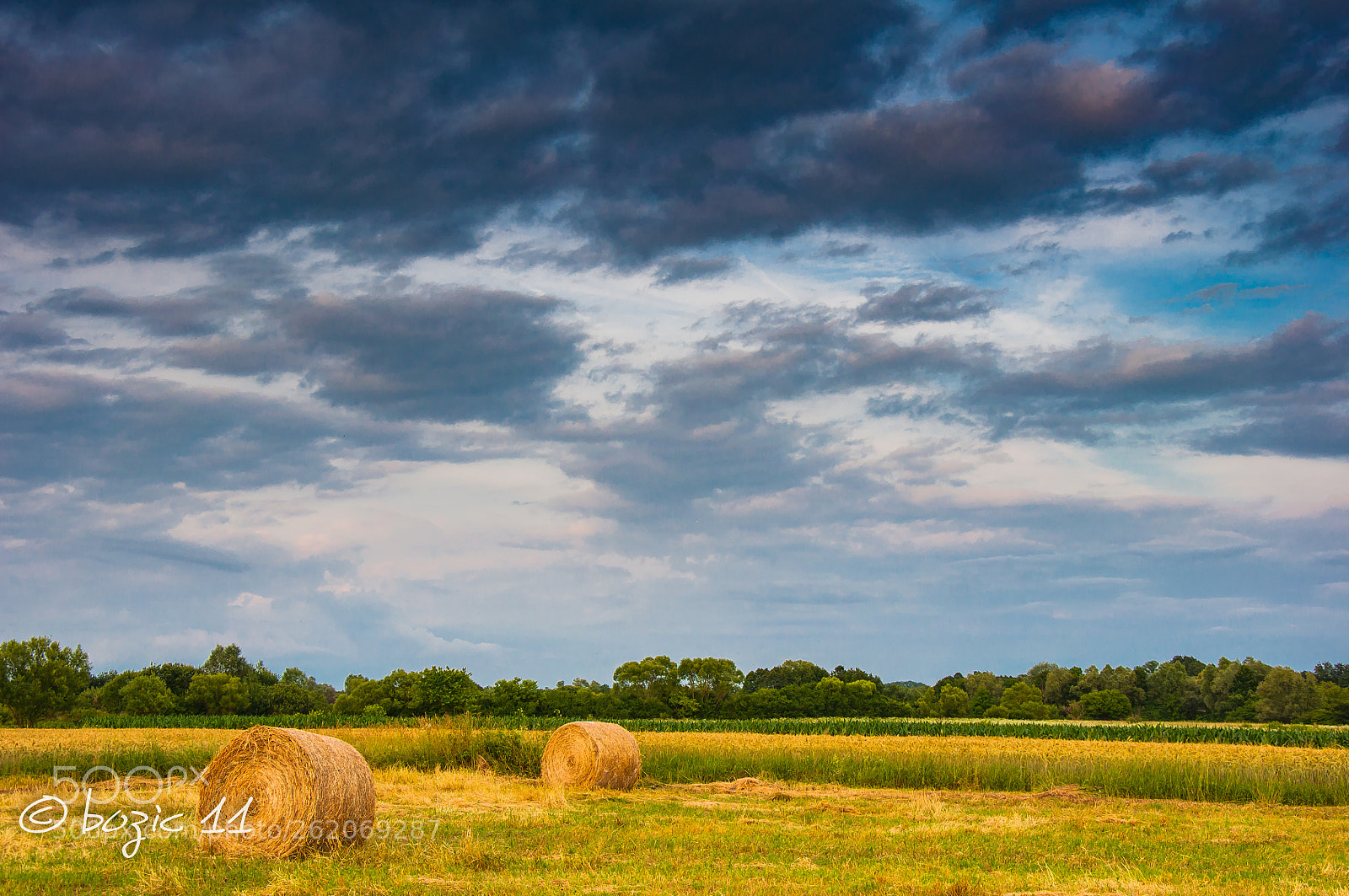 Nikon D90 sample photo. Landscape photography