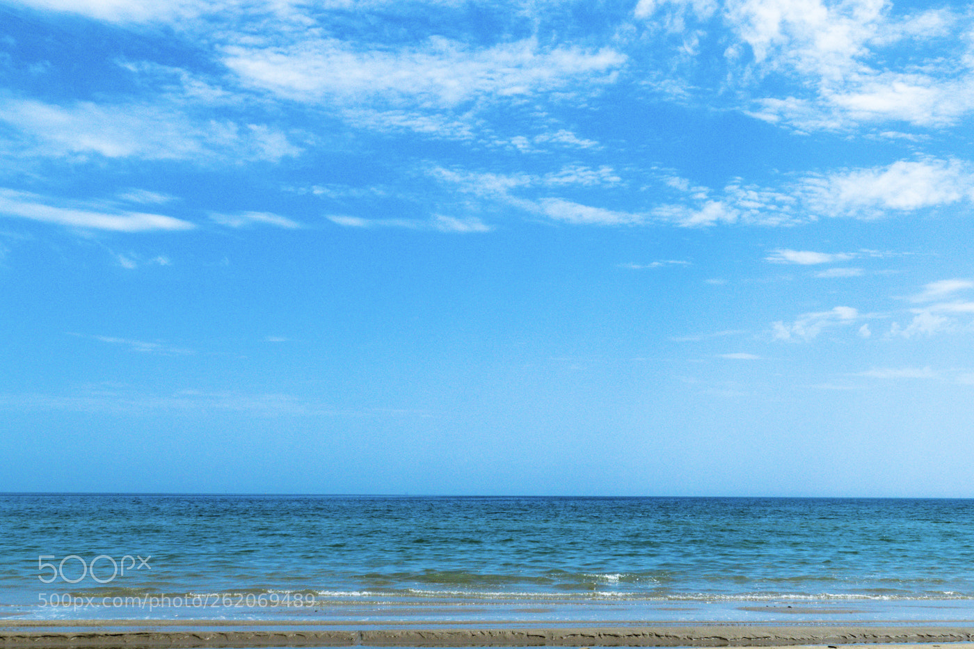 Panasonic Lumix DMC-FZ1000 sample photo. Beauty of blue photography