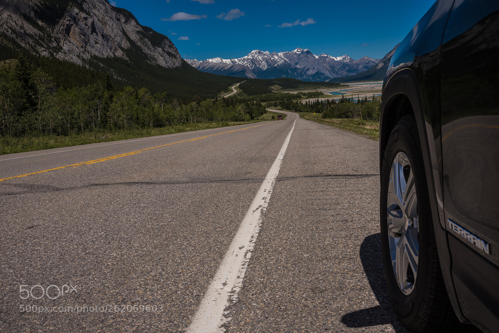 Nikon D750 sample photo. Road to nordegg photography