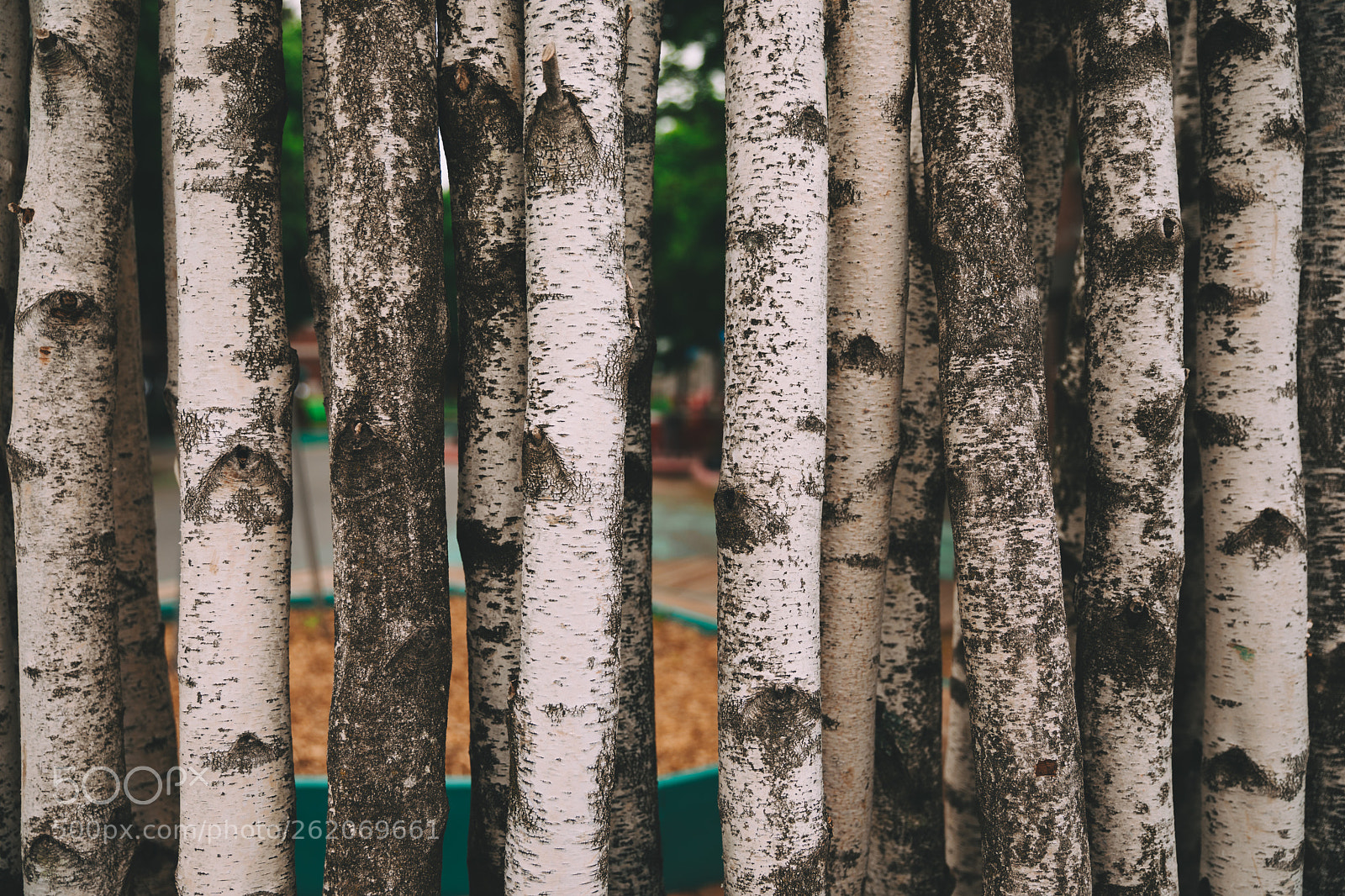 Canon EOS 5D Mark IV sample photo. Logs lined up photography