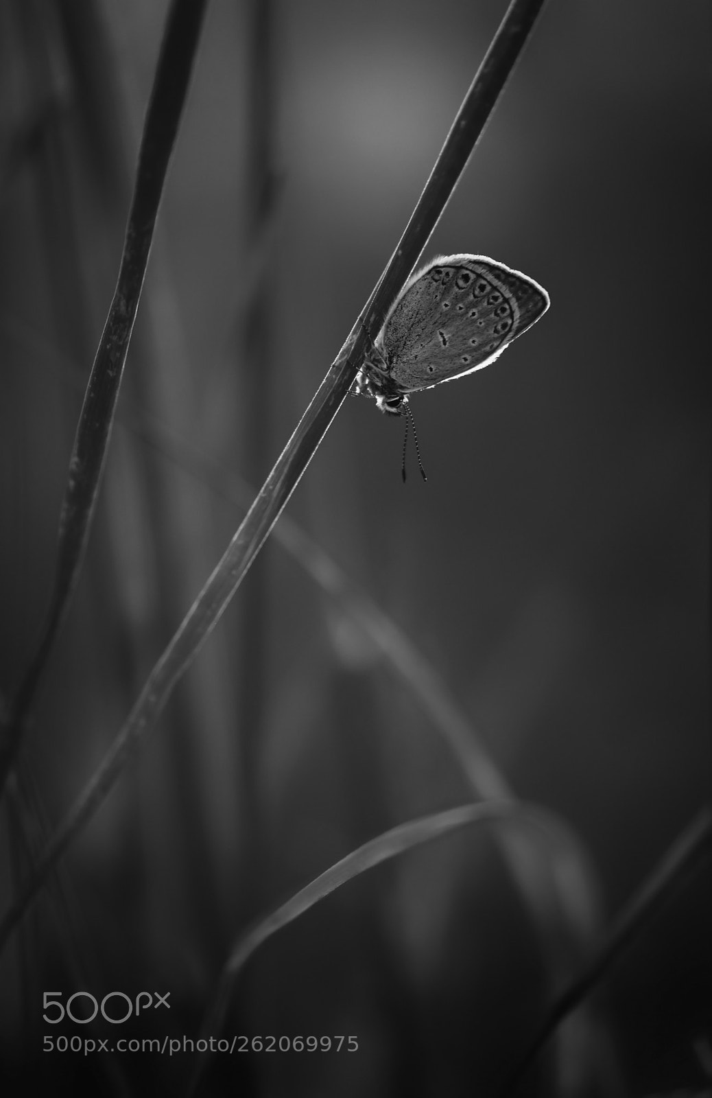 Nikon D7200 sample photo. Beautiful evening photography