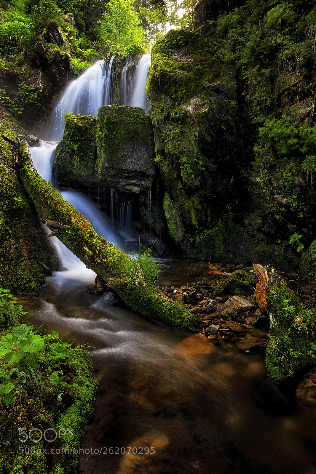 Canon EOS 6D sample photo. Bila opava #12 photography