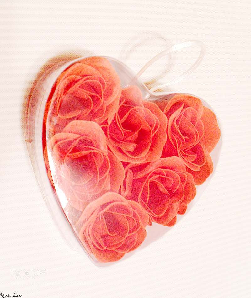 Samsung ES15 / VLUU ES15 /  SL30 sample photo. Heart + roses photography