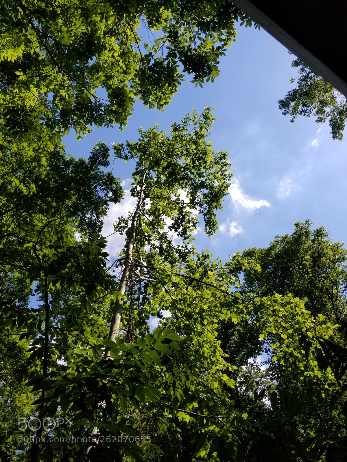Samsung Galaxy S8+ sample photo. Gap photography