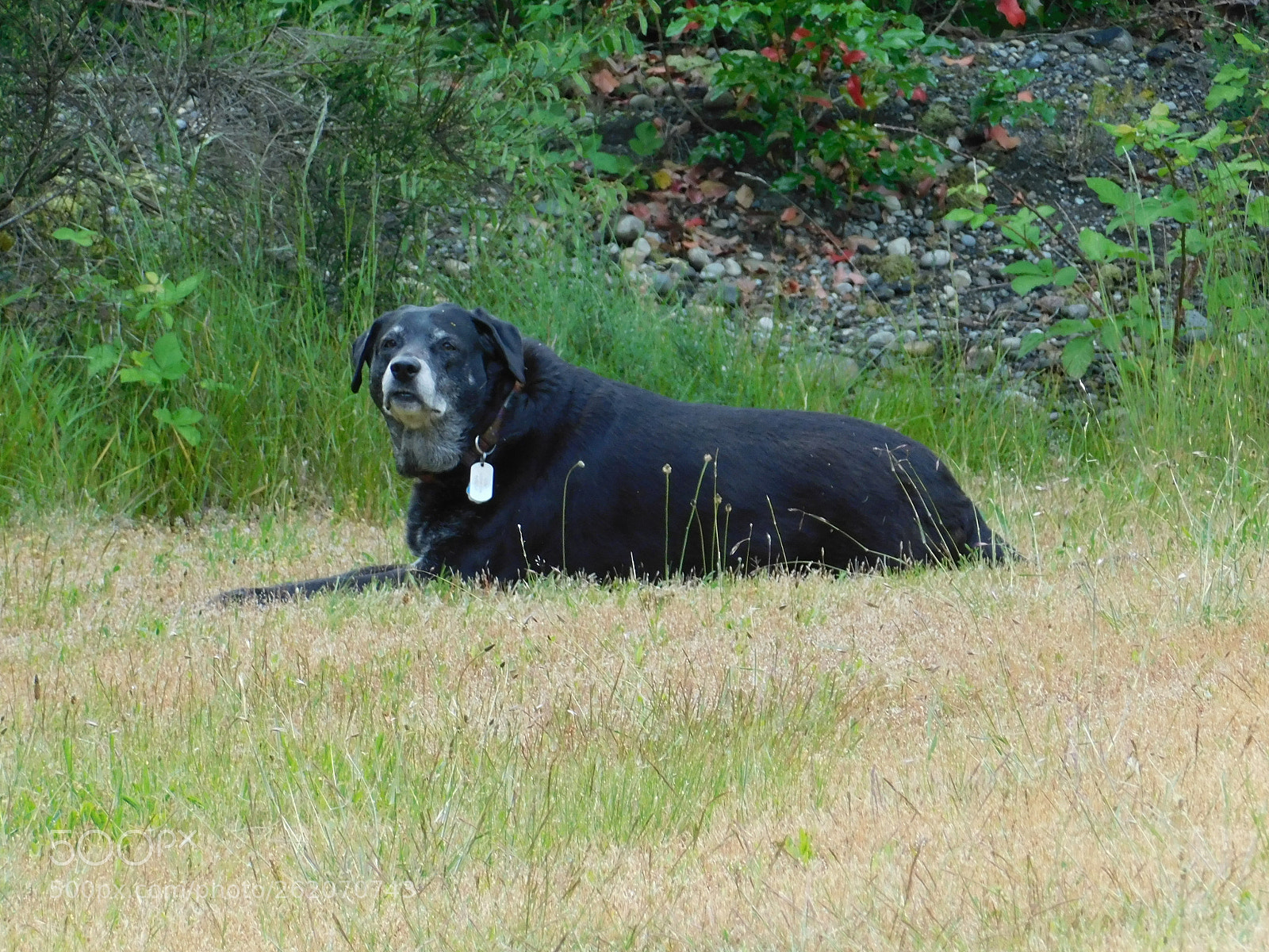 Nikon Coolpix B500 sample photo. Relaxing on  a trail photography