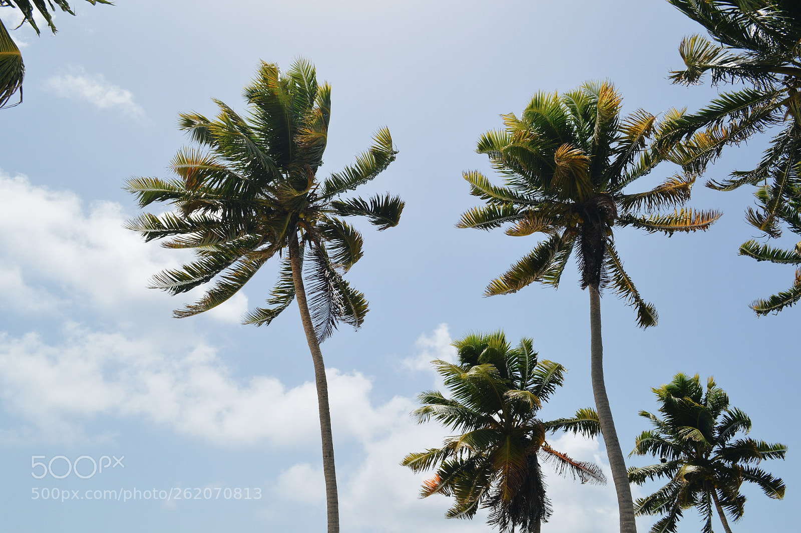 Nikon D3200 sample photo. Processed with vsco with photography