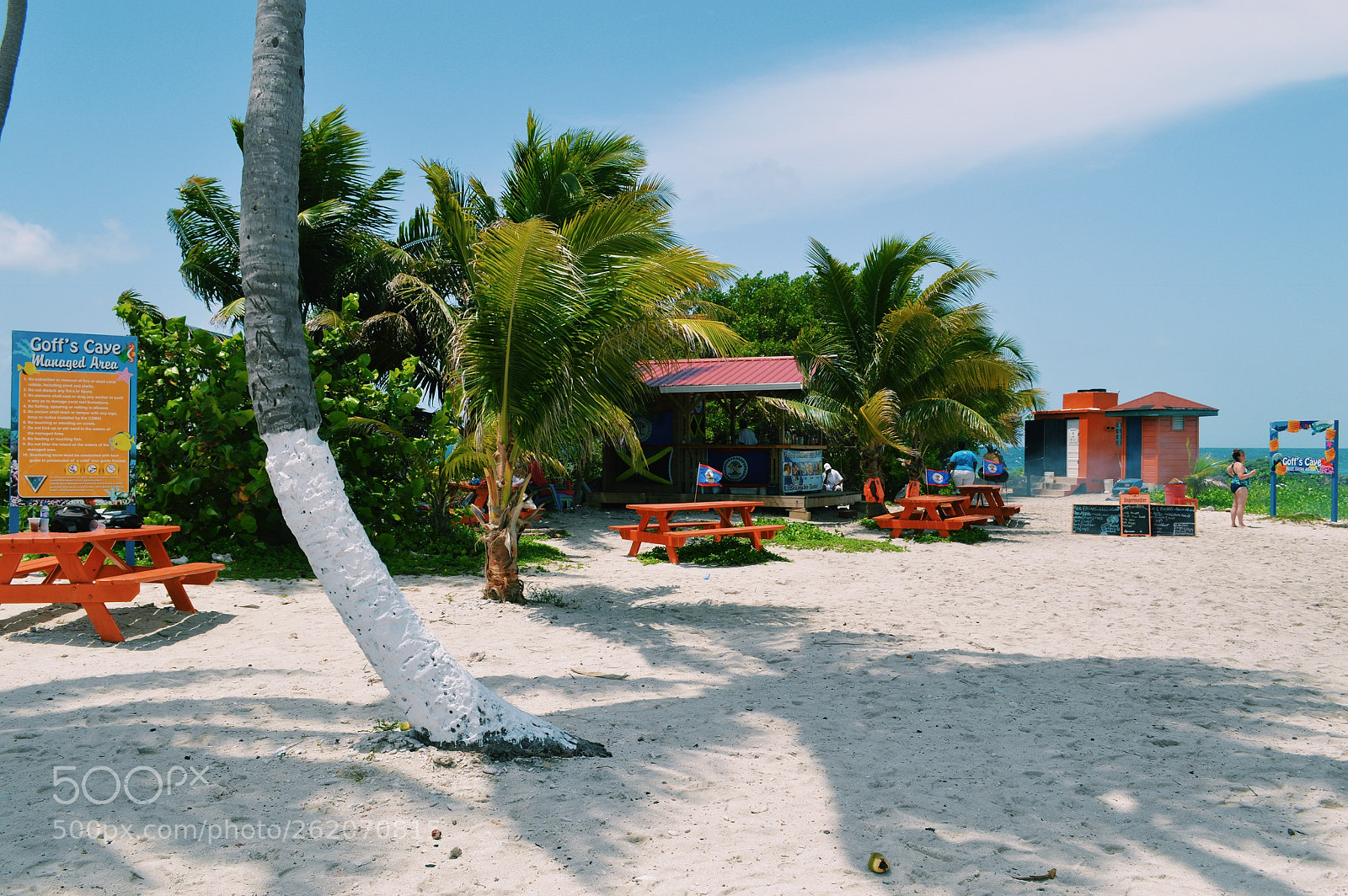 Nikon D3200 sample photo. Processed with vsco with photography
