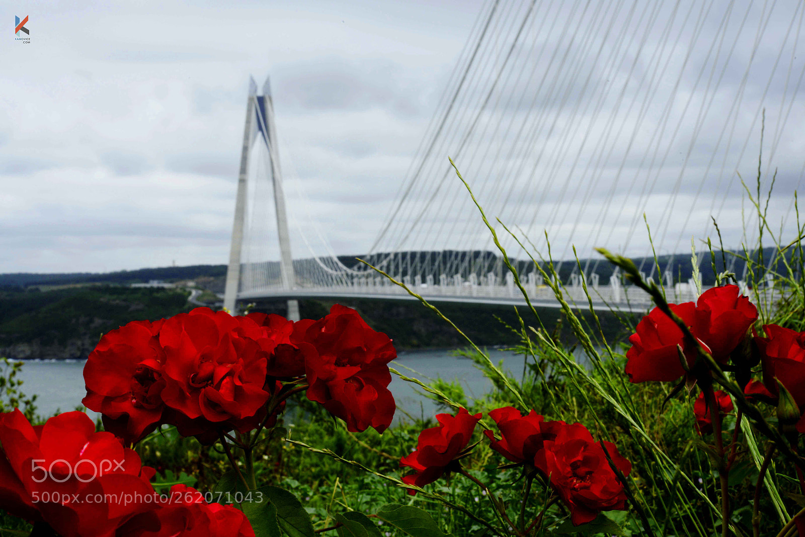 Nikon D800E sample photo. Oac photography