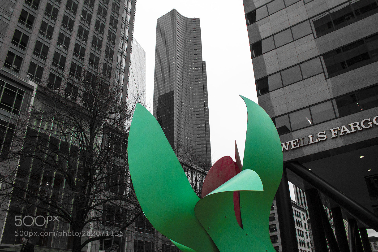 Canon EOS 60D sample photo. Seattle photography