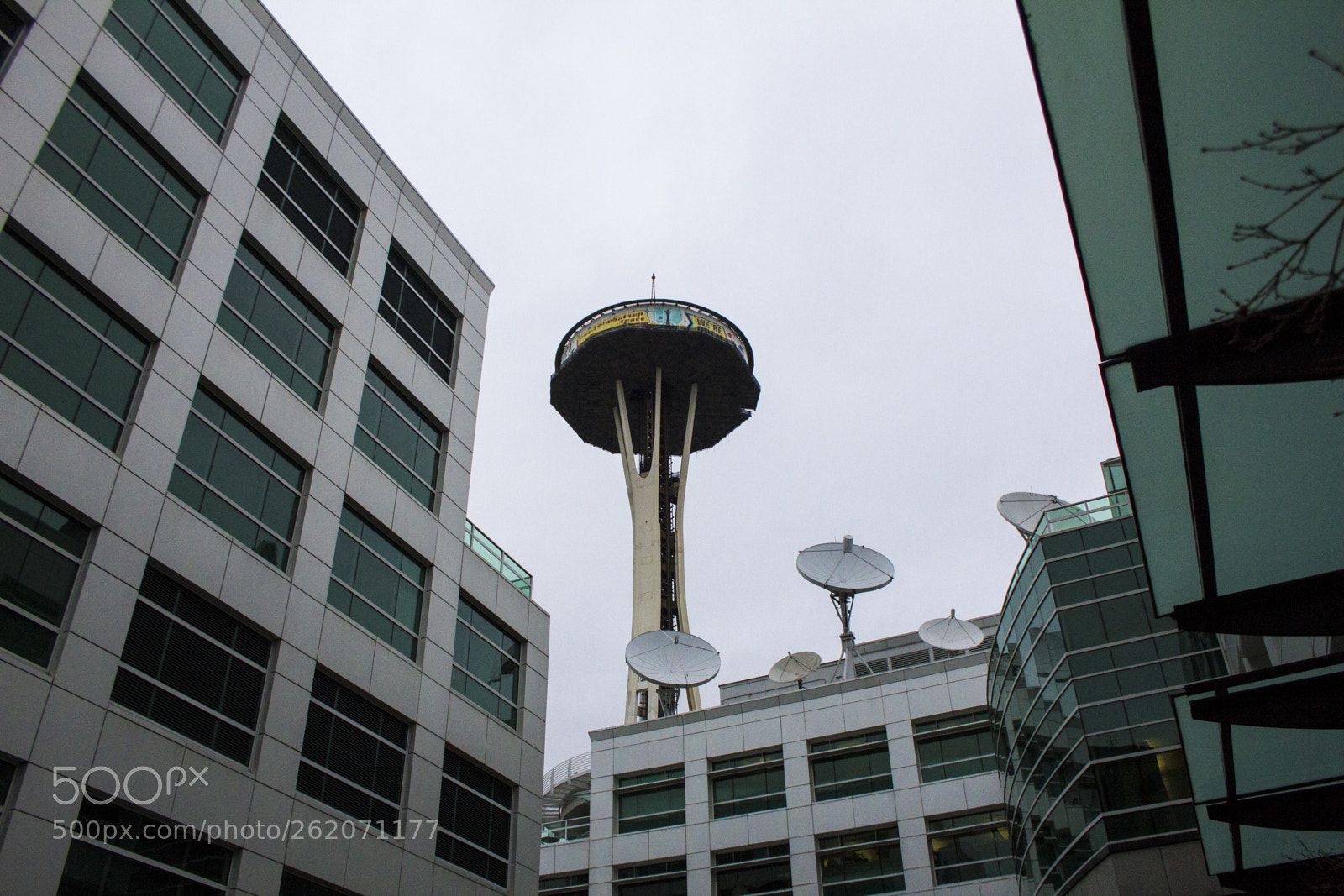 Canon EOS 60D sample photo. Seattle photography