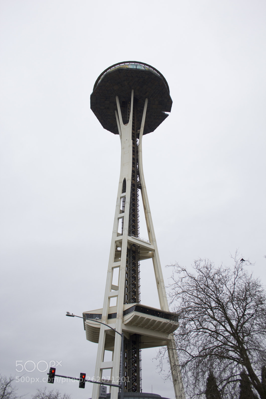 Canon EOS 60D sample photo. Seattle photography