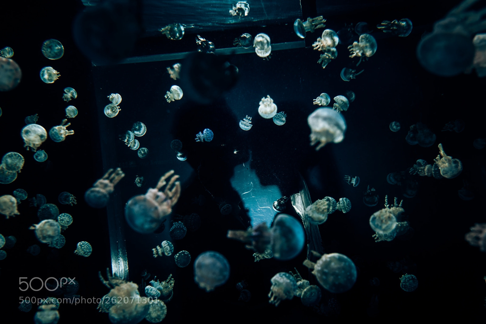 Nikon D810 sample photo. Untitled photography