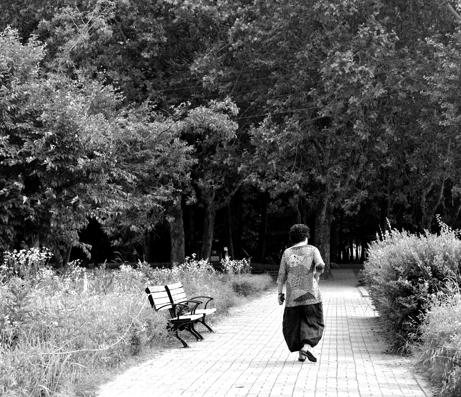 Nikon D750 sample photo. * lonesome ( i ) photography