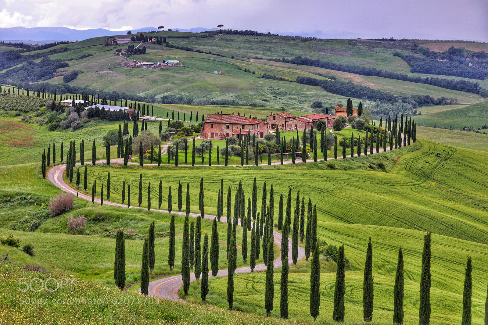 Canon EOS 5D Mark IV sample photo. Cypress spring photography