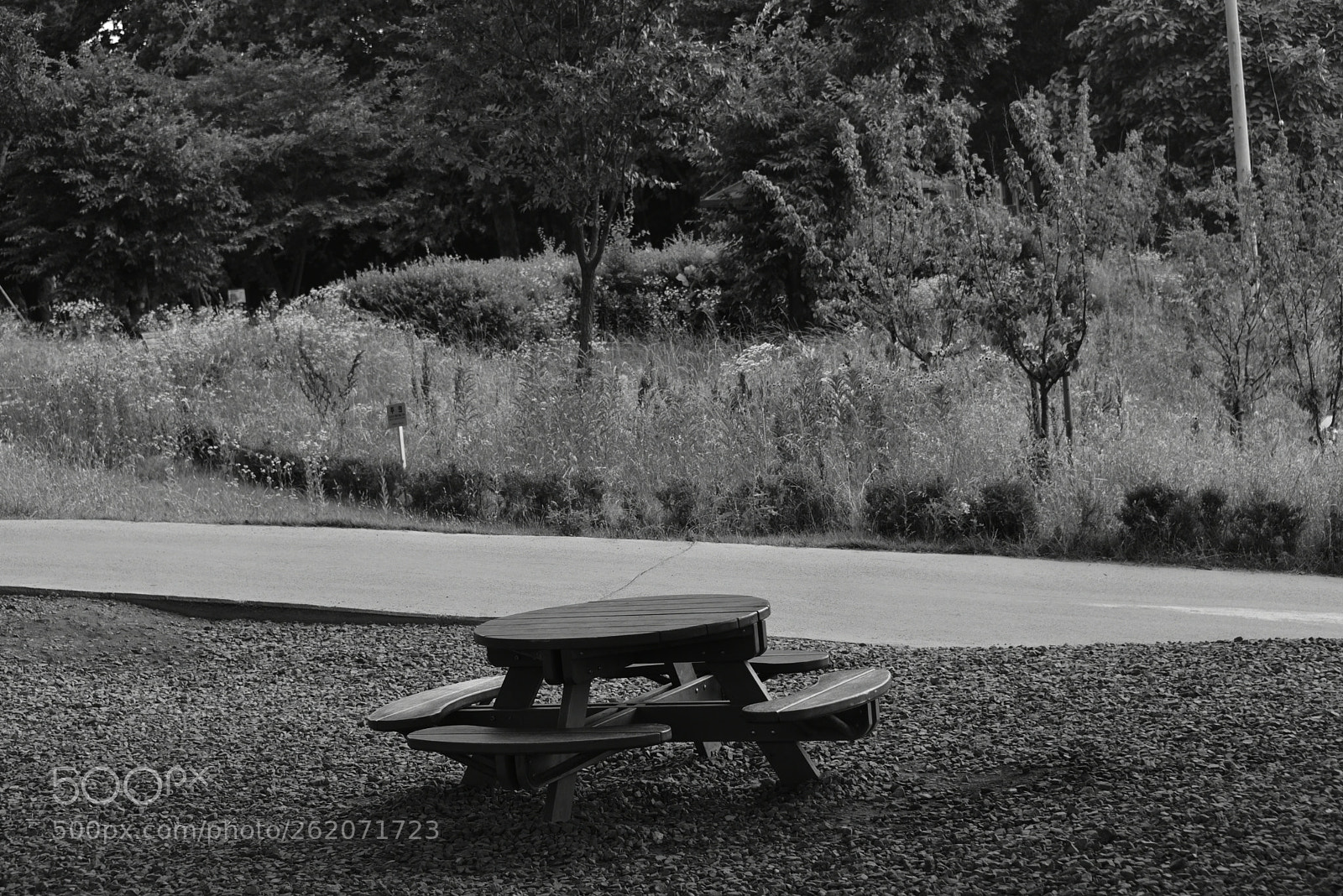 Nikon D750 sample photo. * lonesome ( ii ) photography
