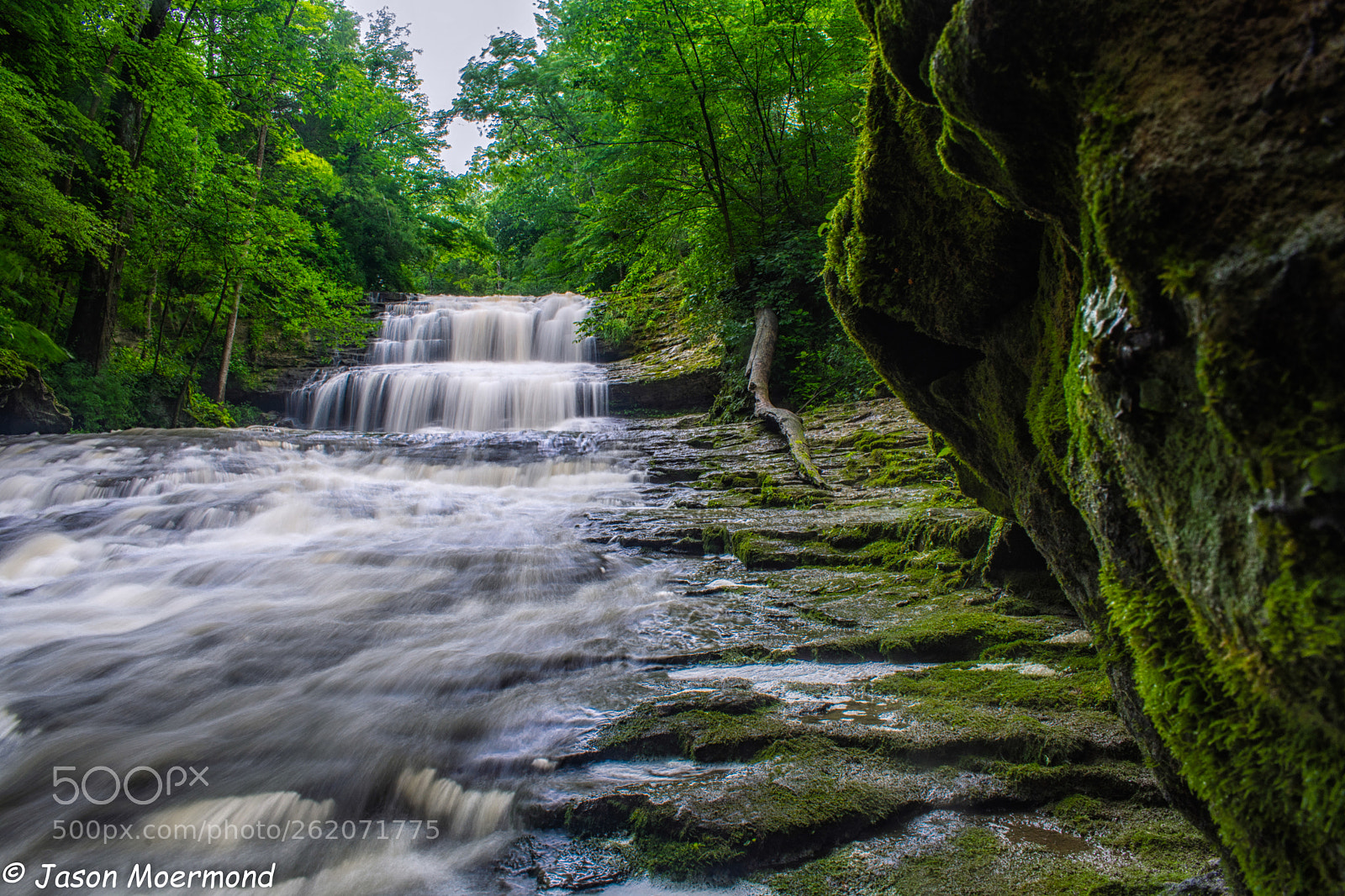 Nikon D7200 sample photo. Fallsville state wildlife preserve photography