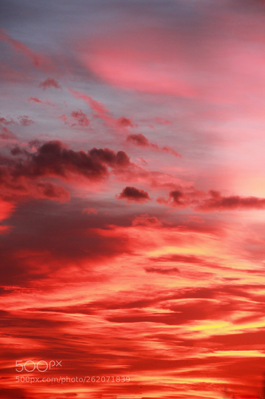 Canon EOS 550D (EOS Rebel T2i / EOS Kiss X4) sample photo. Red sky photography