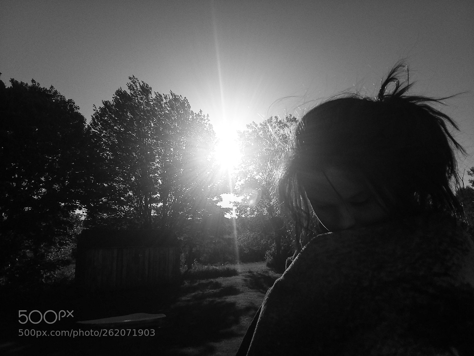 Samsung Galaxy J7 Pop sample photo. Bright photography