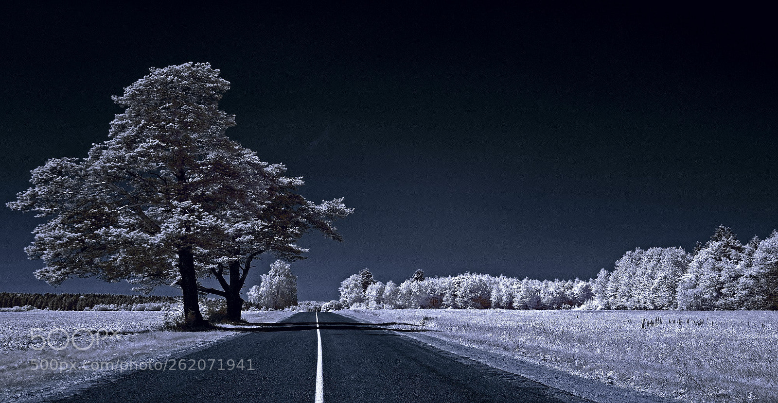 Sony Alpha NEX-3 sample photo. Road. infrared photography. photography