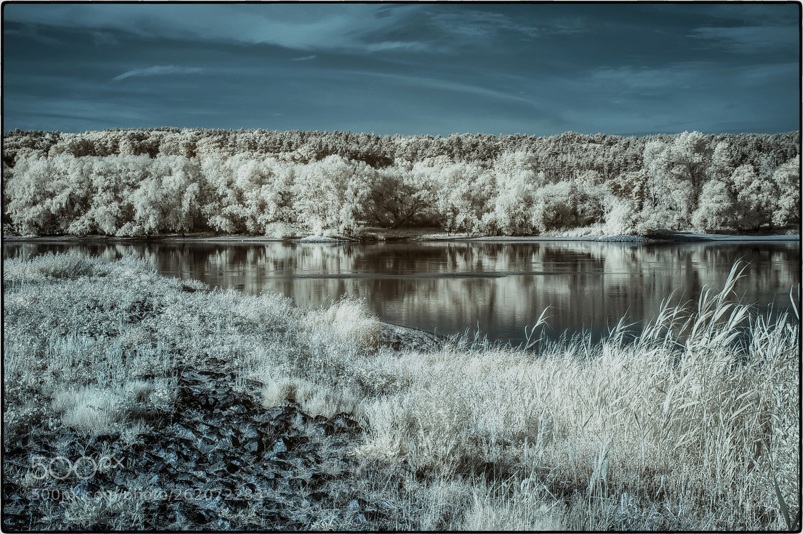 Nikon D70 sample photo. Elbe infrared in spring photography