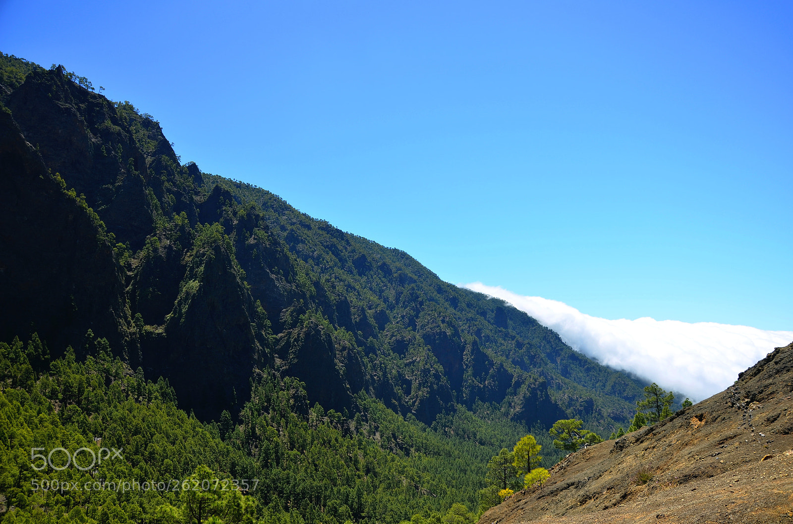 Nikon D5100 sample photo. Waldklippen photography