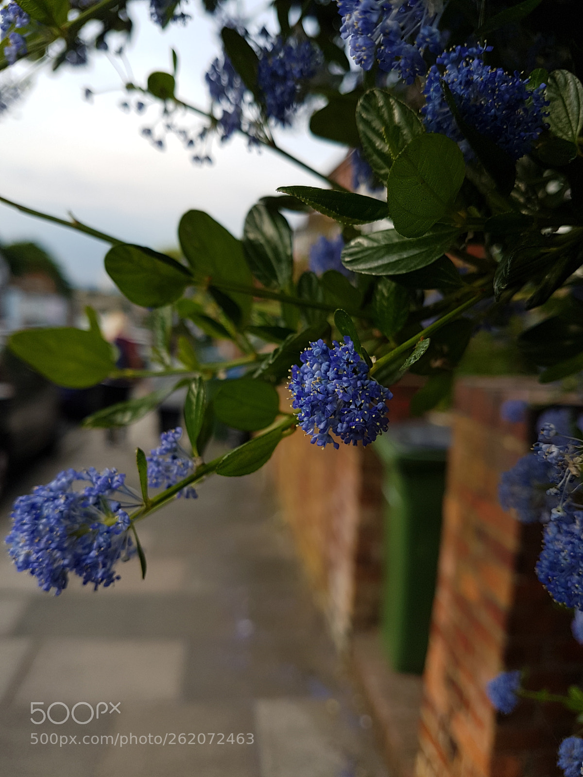 Samsung Galaxy S7 sample photo. Untitled photography