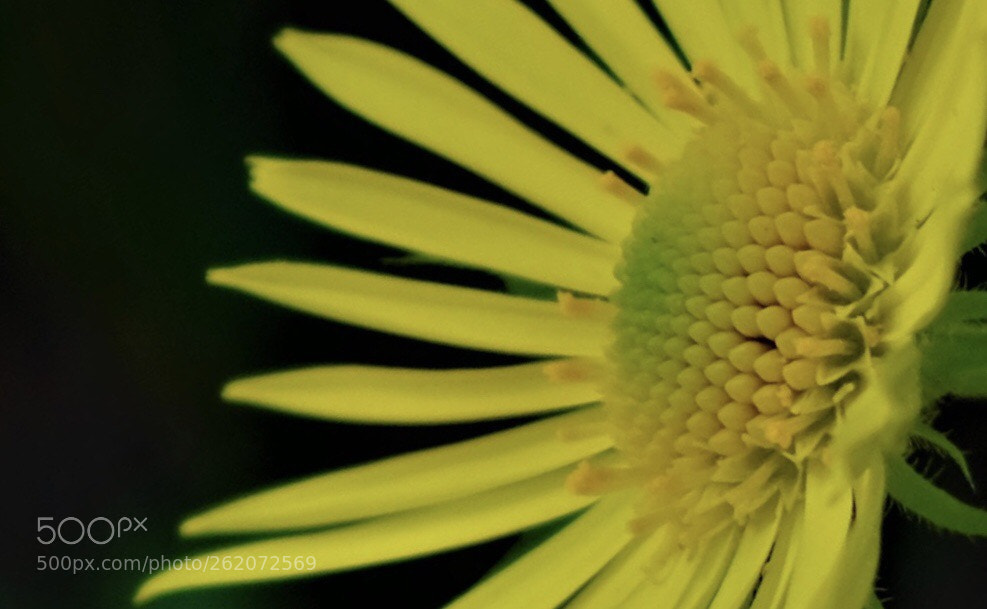 Fujifilm X-T20 sample photo. Untitled photography