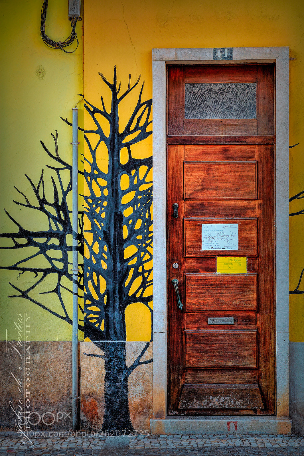 Canon EOS 5D Mark II sample photo. The frame photography