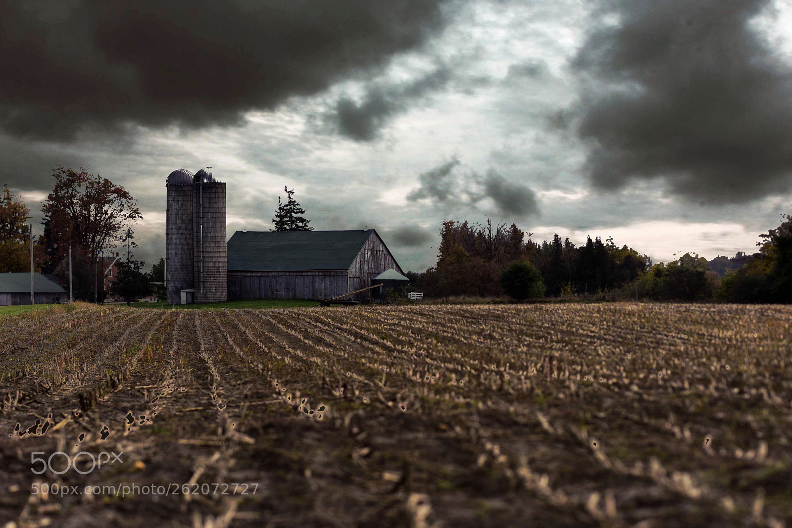 Nikon D810 sample photo. Waiting for the storm. photography