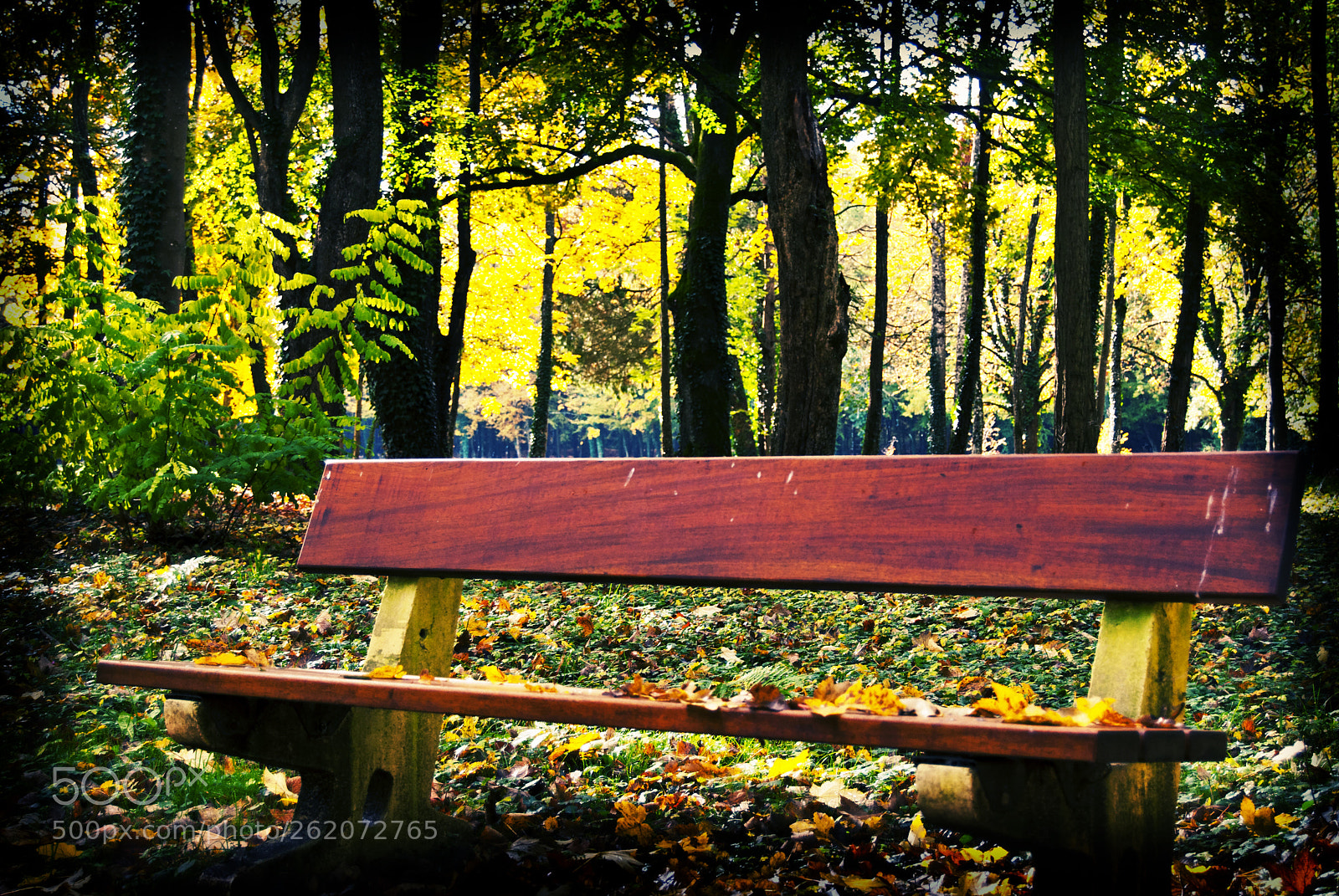 Nikon D60 sample photo. Bench photography