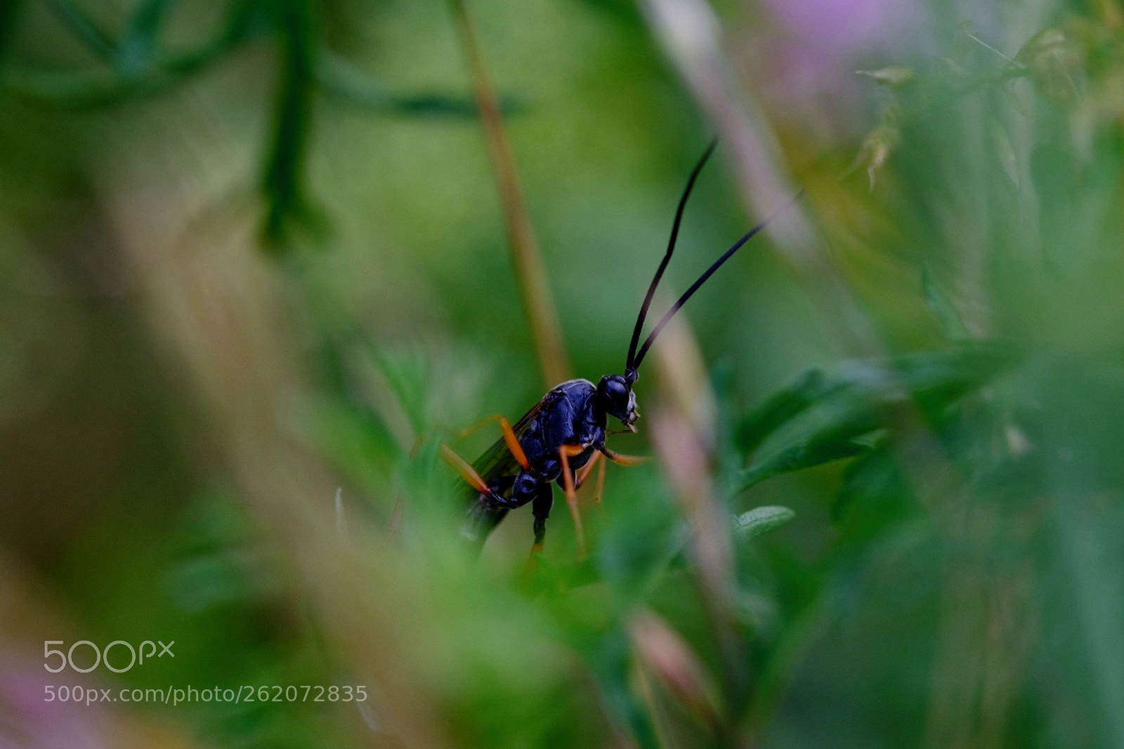 Fujifilm X-T2 sample photo. . photography