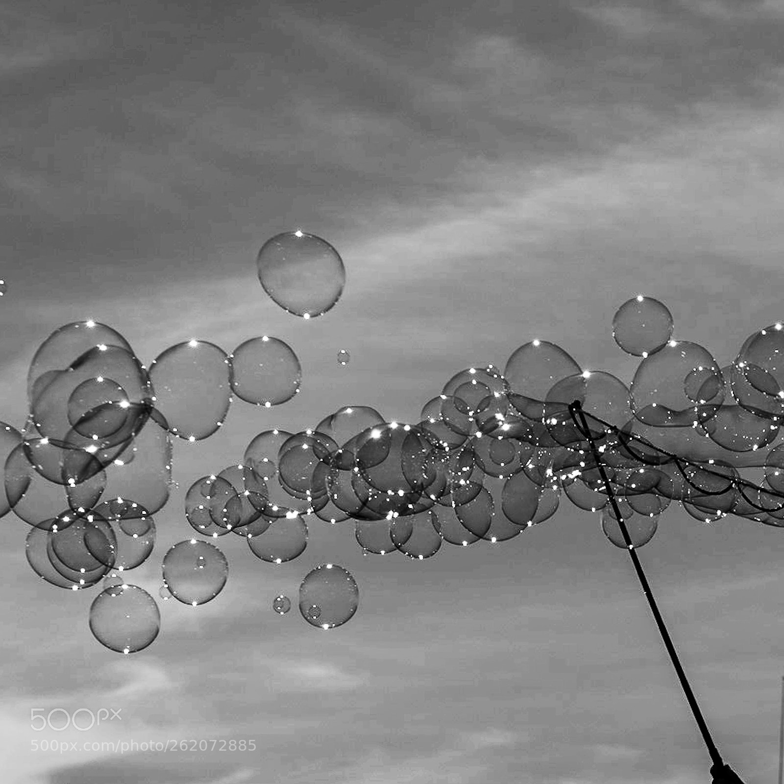 Sony a7R III sample photo. Bulle photography