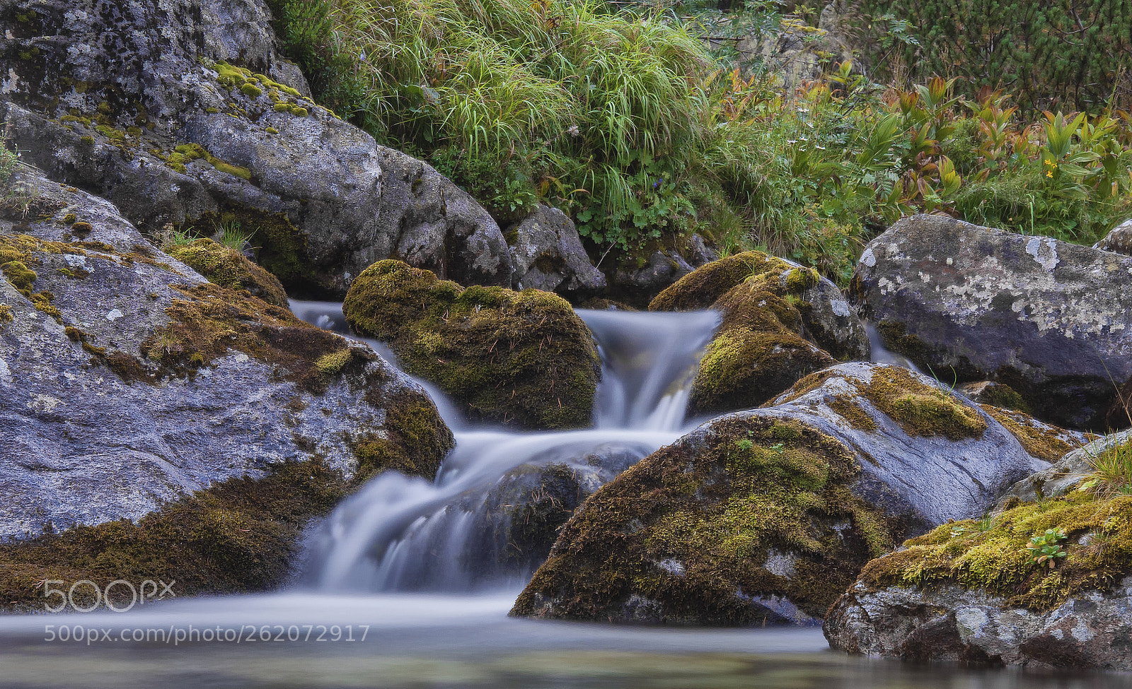 Nikon D5000 sample photo. Jaworowa dolina photography
