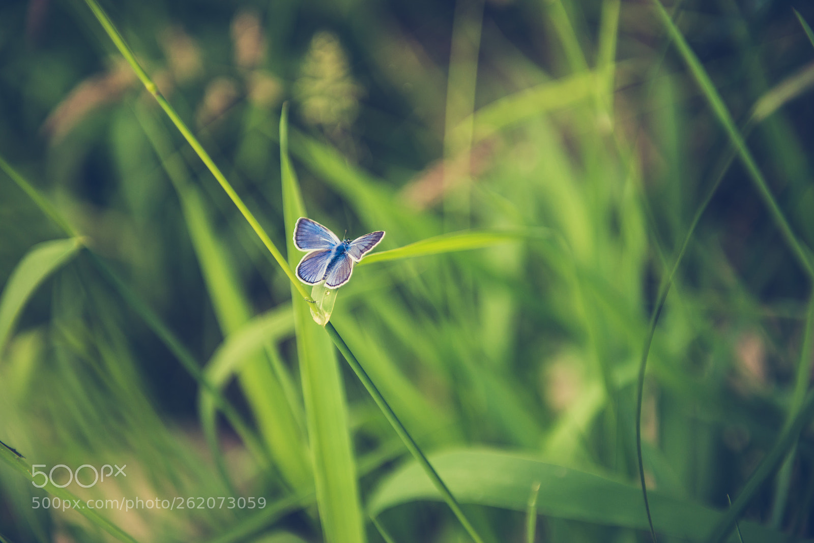 Nikon D610 sample photo. Untitled photography