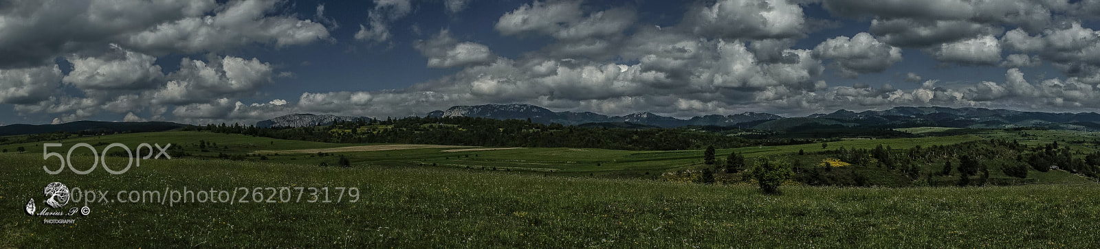 Sony a7R sample photo. Dsc photography