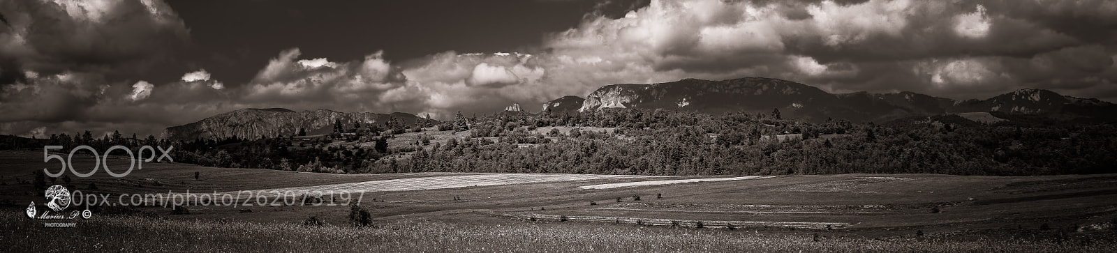 Sony a7R sample photo. Dsc photography