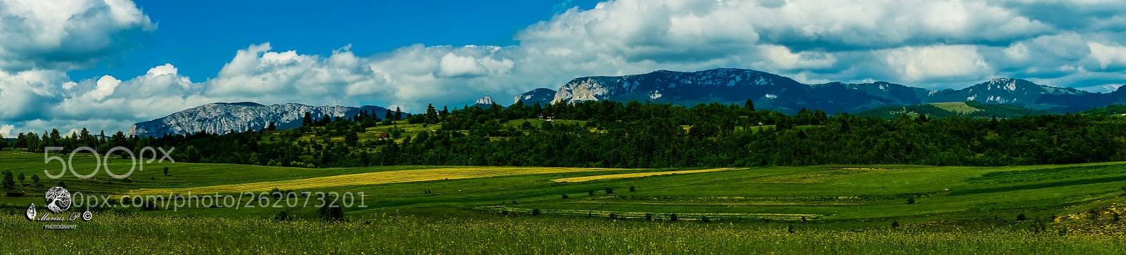 Sony a7R sample photo. Dsc photography