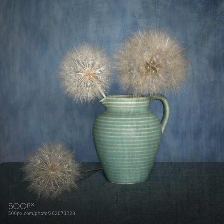 Pentax K-1 sample photo. Still life with a photography