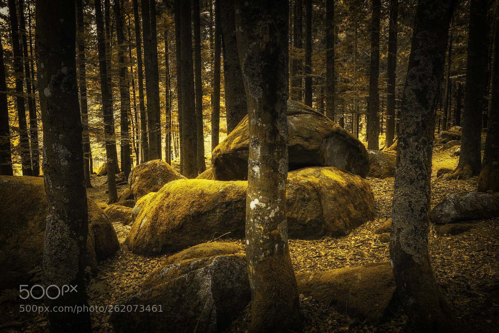 Sony a7R II sample photo. Günterfelsen photography