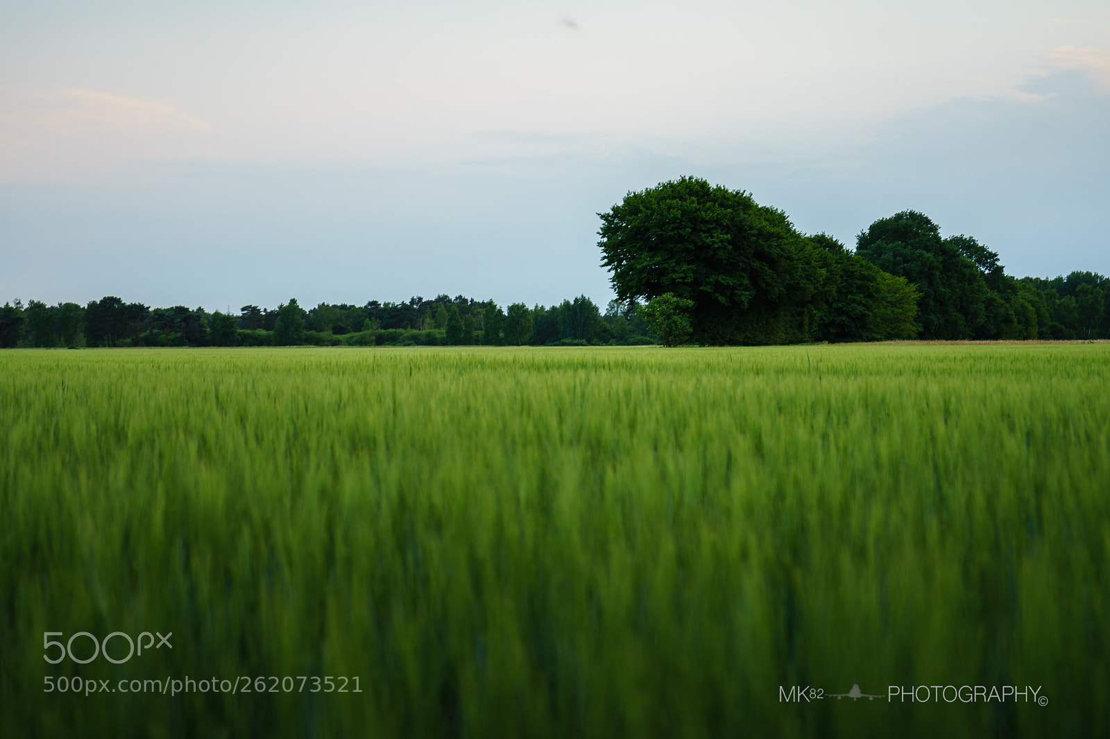 Sony a7 sample photo. Dsc photography