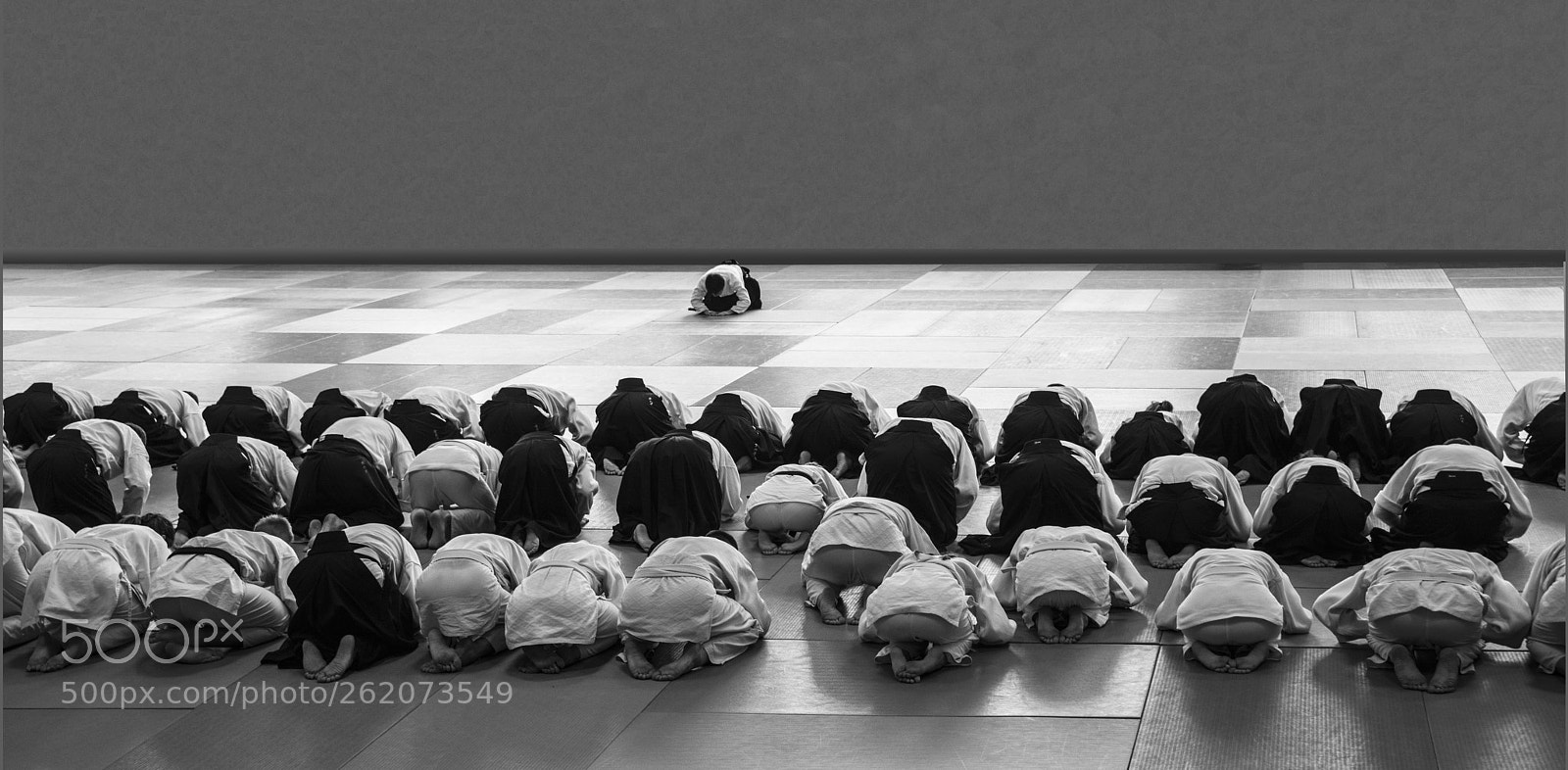 Nikon D800 sample photo. Aikido...master photography