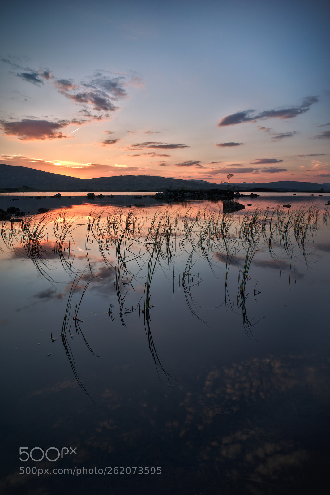 Sony a7R sample photo. Magic light on the photography