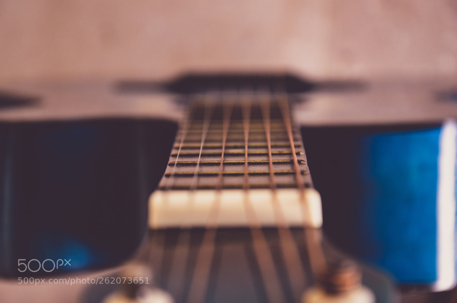 Nikon D3200 sample photo. Strings photography
