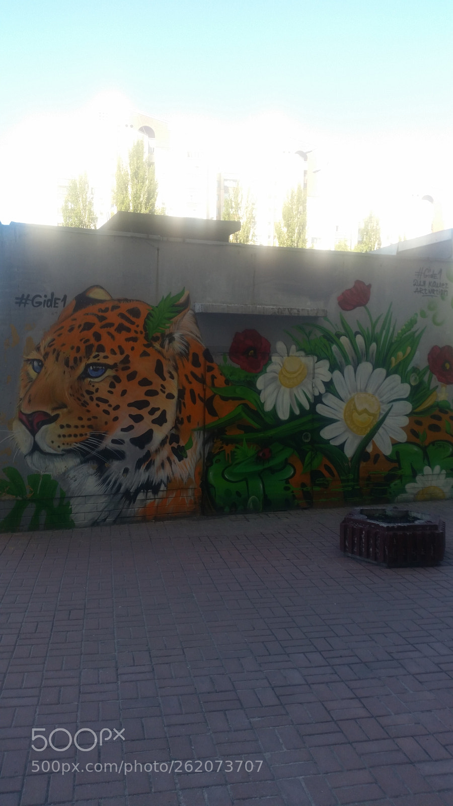 Samsung Galaxy S5 sample photo. Street-art photography