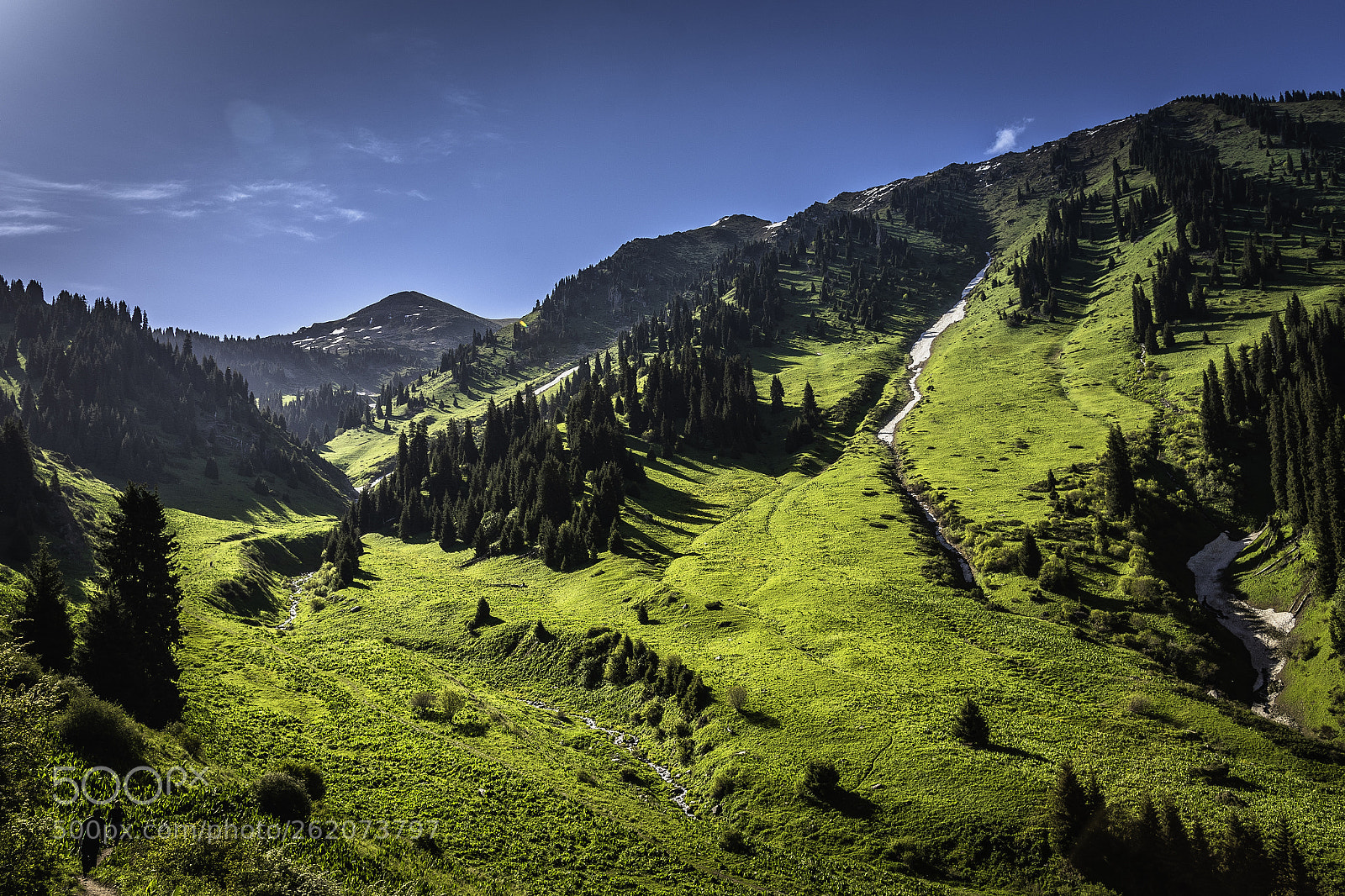 Nikon D750 sample photo. Almaty mountais photography